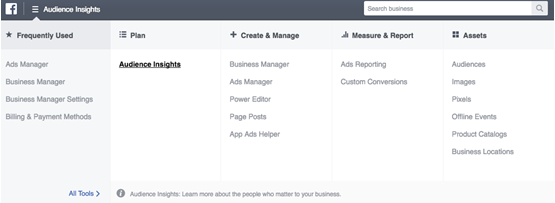 Audience Insight in Facebook