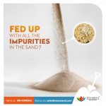 Digital Marketing Companies In Bangalore