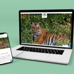 Digital Marketing Companies In Bangalore